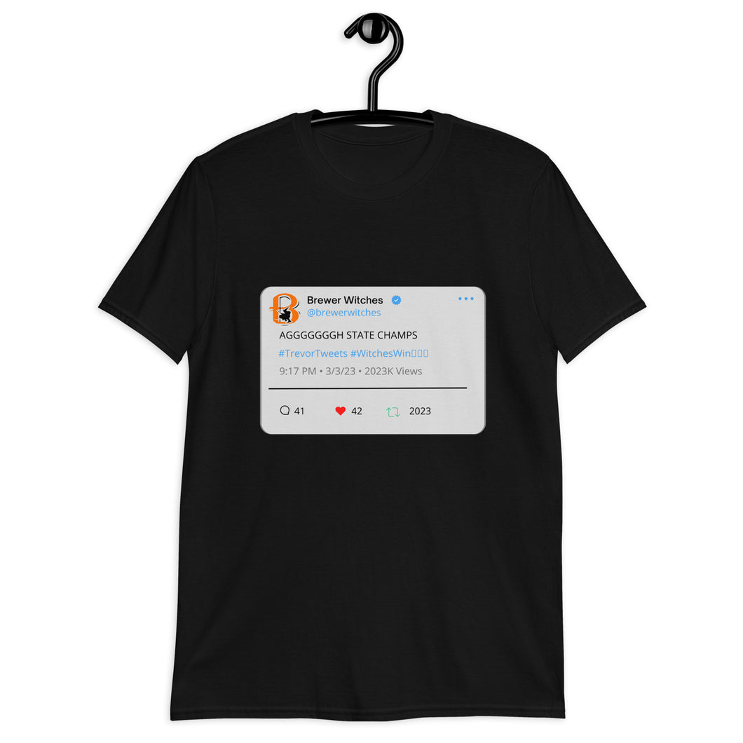 AGGGGGGGH STATE CHAMPS Twitter Post Unisex T-Shirt